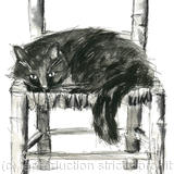 Cat on a chair