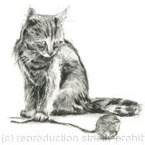 cat and ball of wool