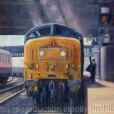 A New Journey Begins