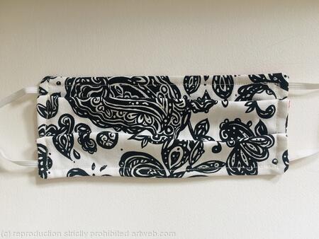 Paisley land face mask