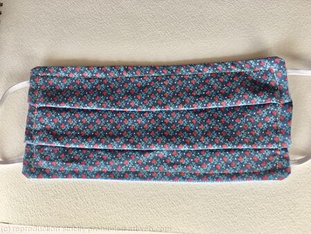 Blue shaker leaves and hearts