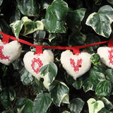 LOVE heart string