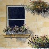 Window Box