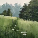 High field in summer 