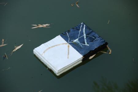 Read the Sky/In Stillness There is no Grey