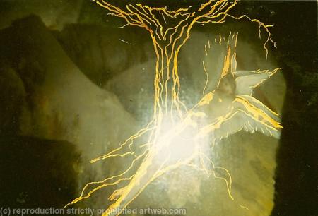 Thou Shall Love Thy Nature