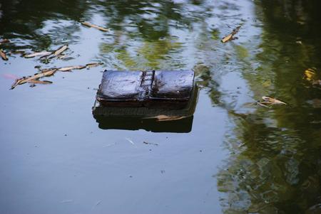 Read the Sky/Illuminate Your Shadows