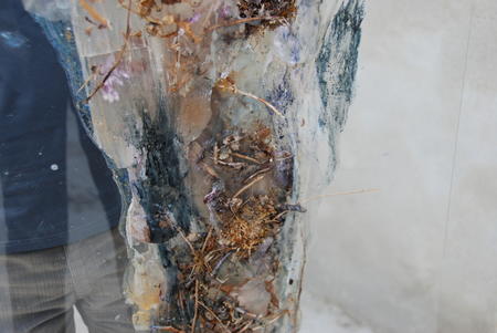 dahlias-foal_20100502_371