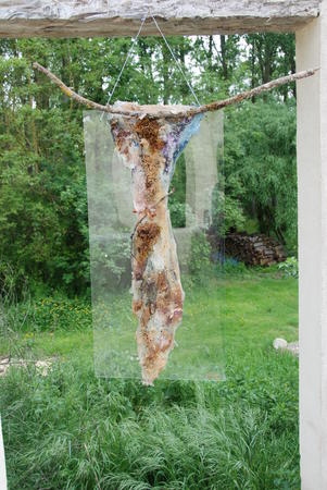 dahlias-foal_20100502_359