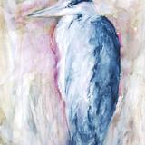 Blue Heron