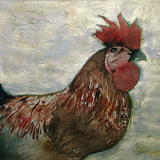 Rooster
