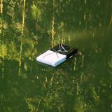 Read the Sky/In Stillness There is no Grey