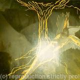 Thou Shall Love Thy Nature