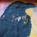 Dog the Crow