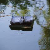 Read the Sky/Illuminate Your Shadows