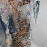 dahlias-foal_20100502_371