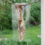 dahlias-foal_20100502_359