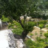 Hiking in the West Bank