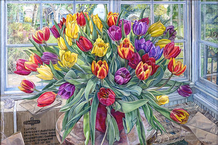 ‘Seaside Festival Tulips’