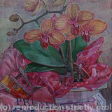 Orchids on a pink t-shirt