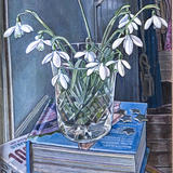 ‘Snowdrops’