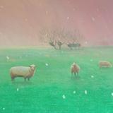 snow arriving - the levels