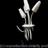 white double pin ring I