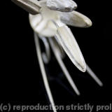 white double pin ring I