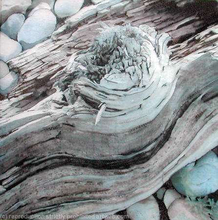 Driftwood