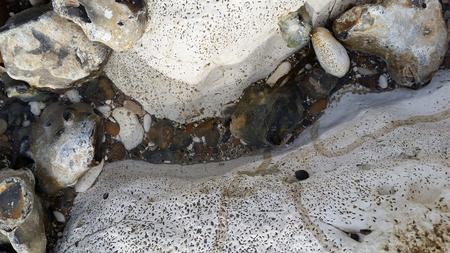 Rock Pool Photgraph