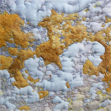 Yellow  Lichen on Stone 2