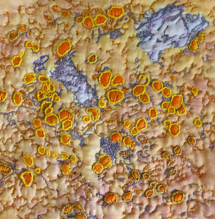 Orange and Yellow Lichen