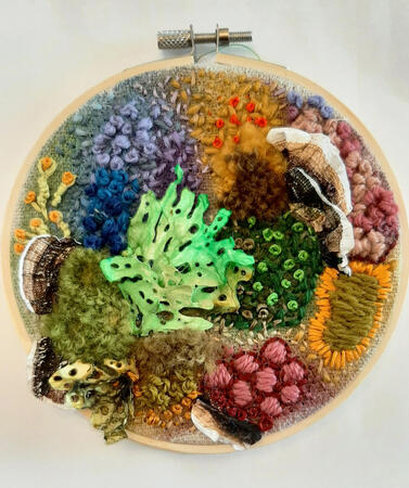 Lichen and Fungus Medley