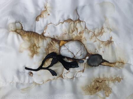White Pebble in Chalk Rock Pool