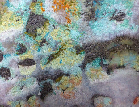 Eridge Rocks Lichen