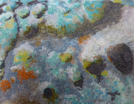 Eridge Rocks Lichen 2