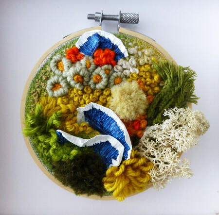 Fungi Moss and Lichen 