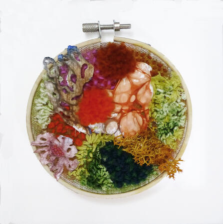 Moss and Lichen (rust,red and green)