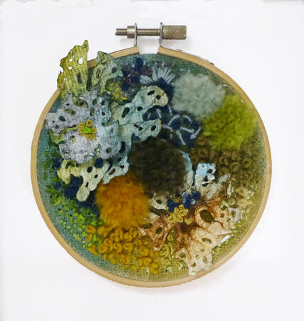 Lichen and Moss Layers