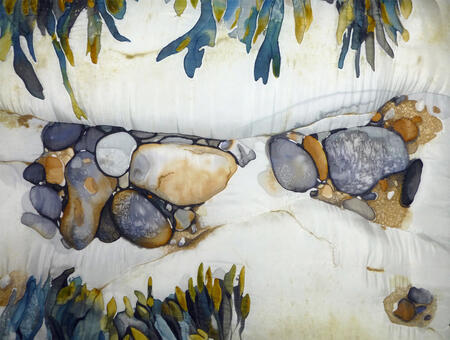 Rock Pool Channel with Seaweed