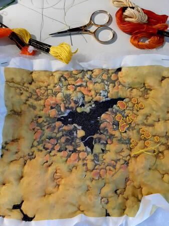 Lichen Embroidery in Progress