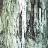 Bark Series