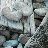 Driftwood and Pebbles