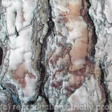 Rust Bark