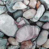 Pebbles and Pink Shell