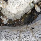 Rock Pool Photgraph