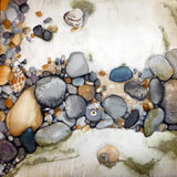 Shells and Pebbles on Rock Pool