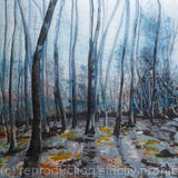 Deep in Slindon Woods