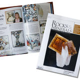 Rocks and Minerals featured artist