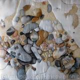 Rock Pool Environment